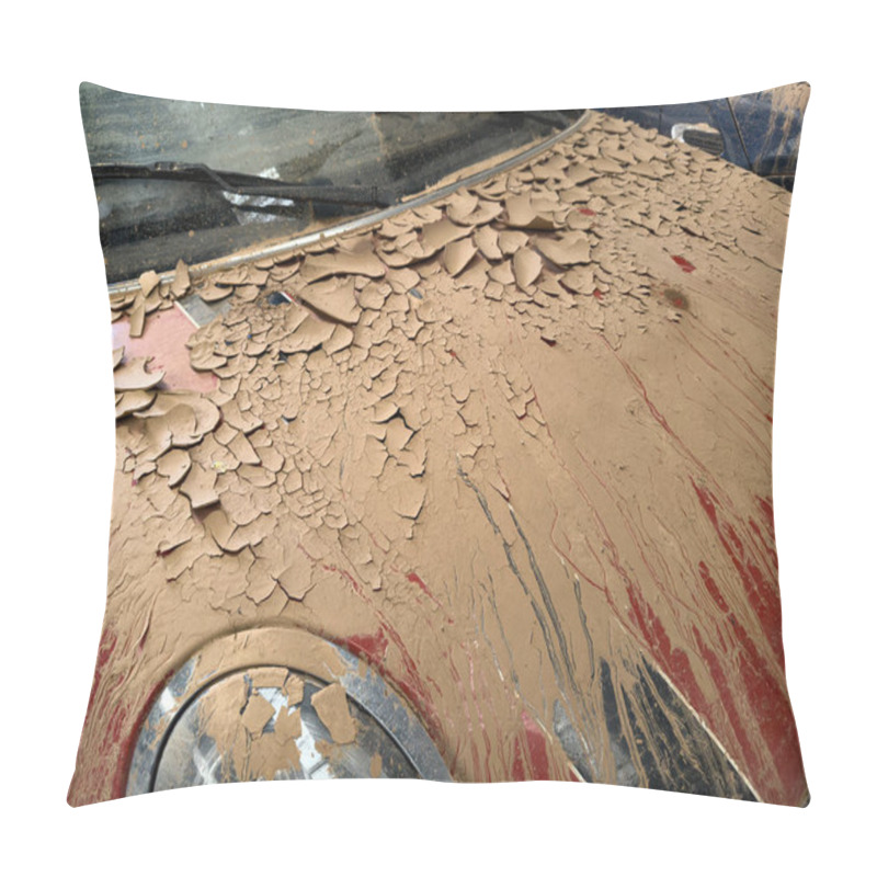 Personality  SEDAVI, VALENCIA SPAIN - DECEMBER 4 2024: After Dana Floods In Valencia Province On October 29th 2024 Thousands Of Wrecked Cars, Impacting Countless Families, And Claiming Over 200 Human Lives. Pillow Covers