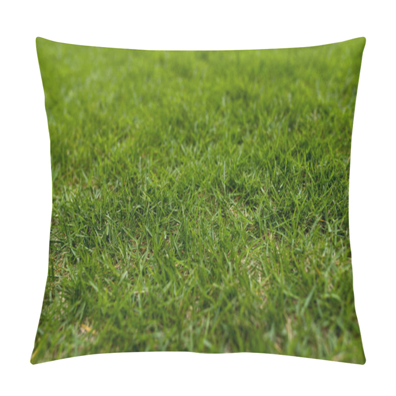 Personality  Green Lawn On Ground In Park Pillow Covers