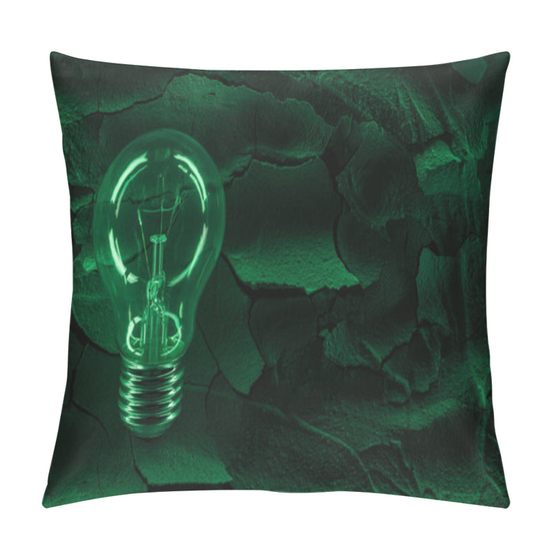 Personality  Electric Light Bulb On Dried Cracked Ground Surface, Global Warming Concept Pillow Covers