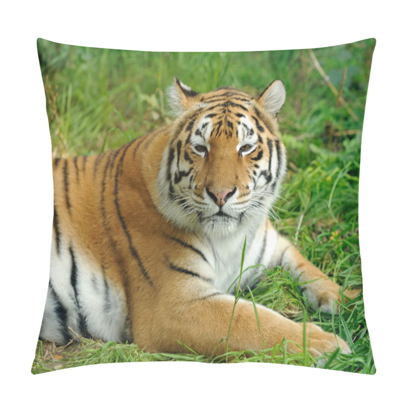 Personality  Tiger Pillow Covers