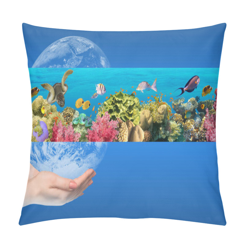 Personality  Globe In Human Hand Against Blue Sky. Environmental Protection Concept. Underwater World. Coral Fishes Of Red Sea Pillow Covers