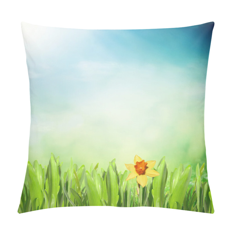 Personality  Spring Sunny Field  Pillow Covers