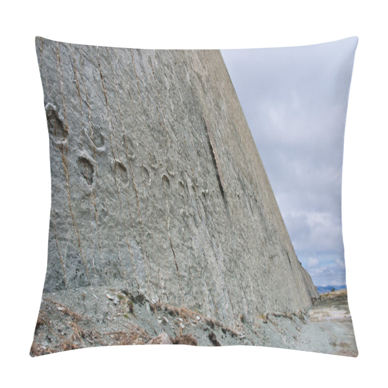 Personality  Dinosaur Tracks On Wall Pillow Covers