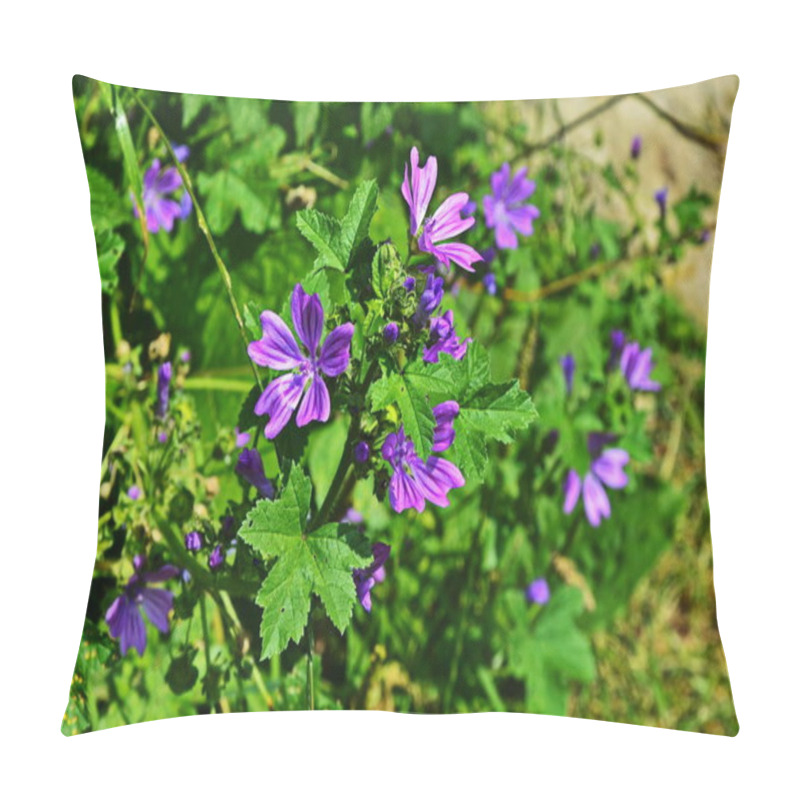 Personality  Wild Mallow In The Summer Garden Pillow Covers