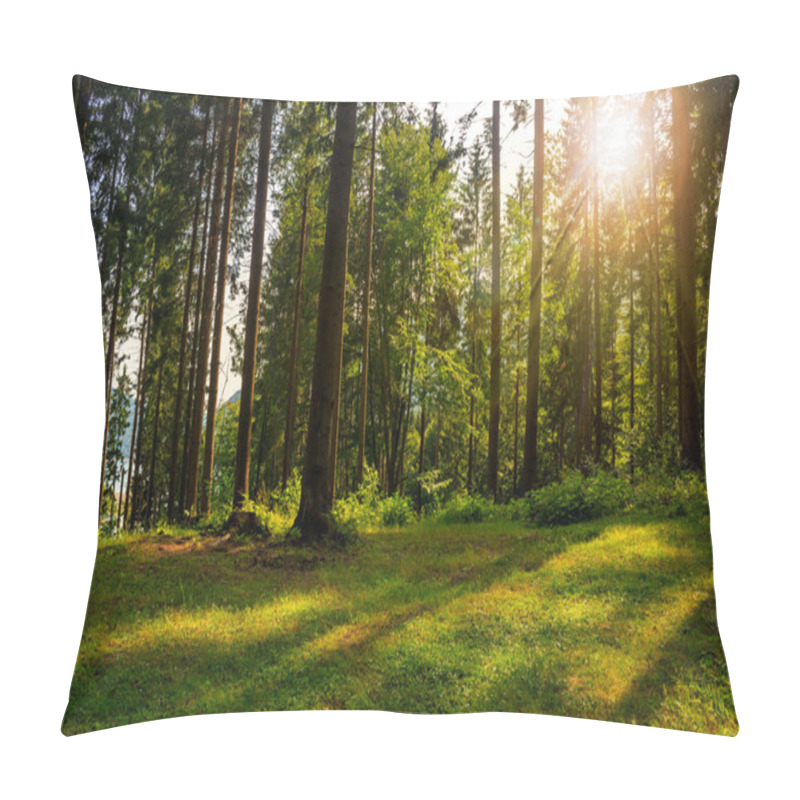 Personality  Forest Glade In  Shade Of The Trees In Sunlight Pillow Covers