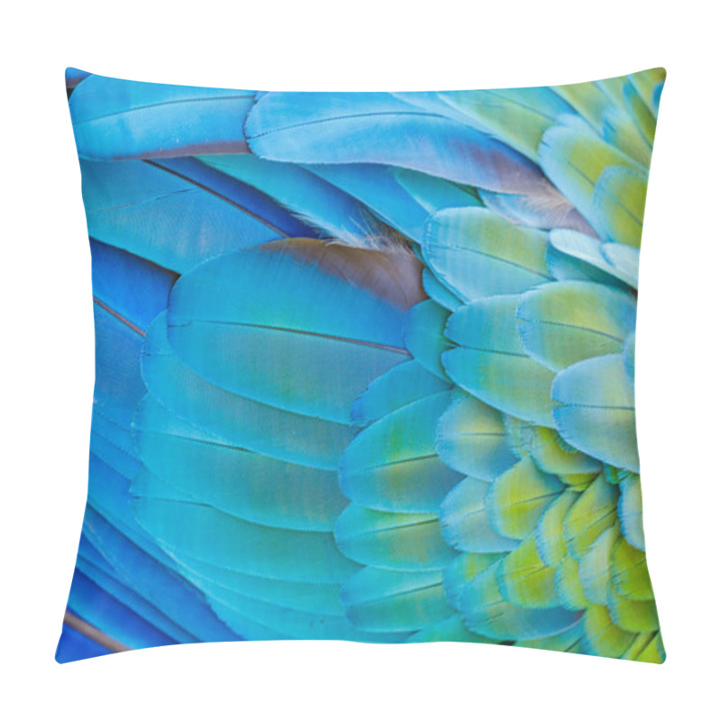 Personality  Plumage Pattern Of Macaw Parrot Feathers Close-up Pillow Covers