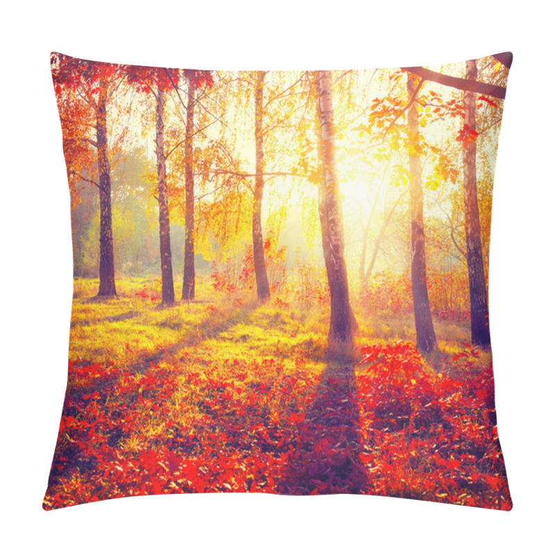 Personality  Autumn Trees And Leaves Pillow Covers