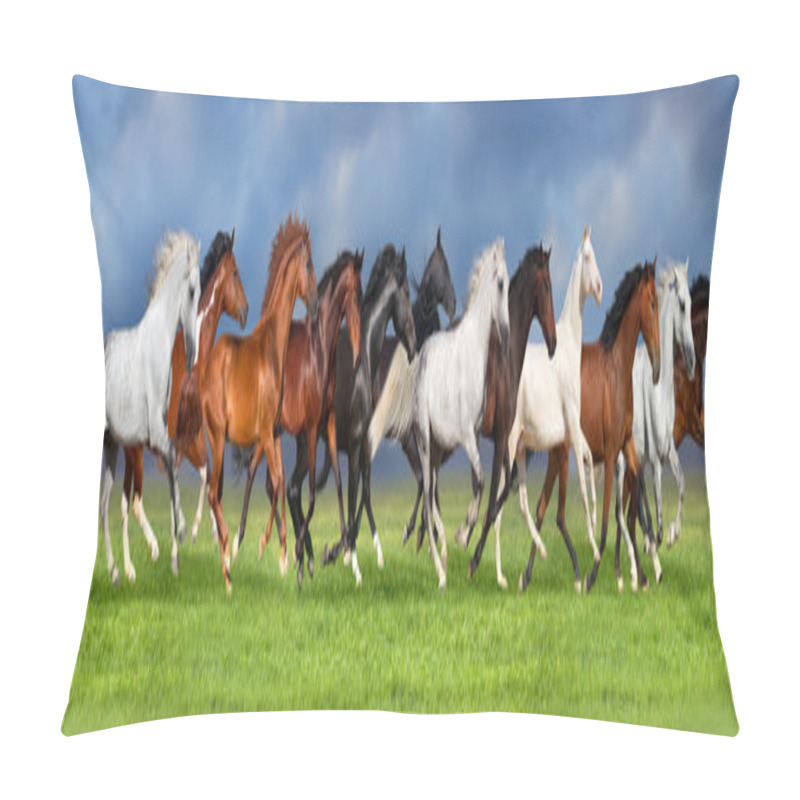 Personality  Horse Herd Run Pillow Covers