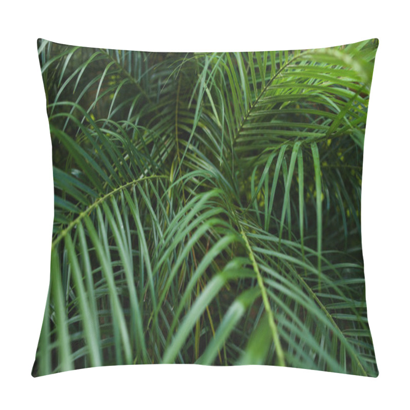 Personality  Tropical Deep Green Foliage Background Photo. Pillow Covers