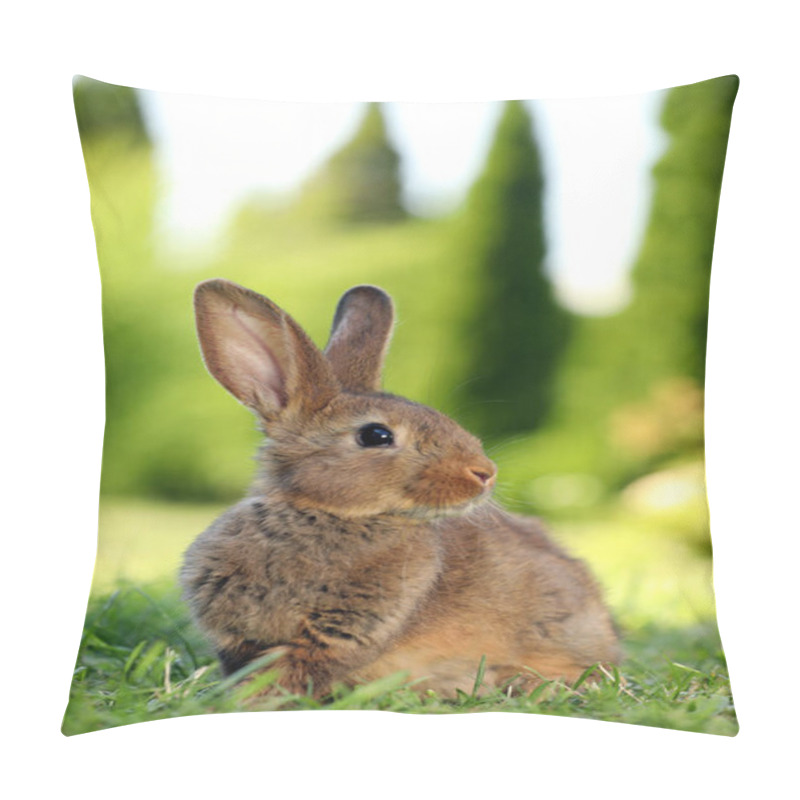 Personality  Cute Fluffy Rabbit On Green Grass Outdoors Pillow Covers