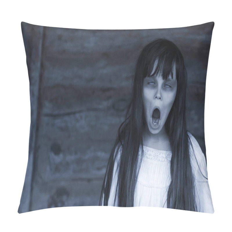 Personality  Scary Ghost Woman  With Long Black Hair On White Dress In Haunted House Pillow Covers