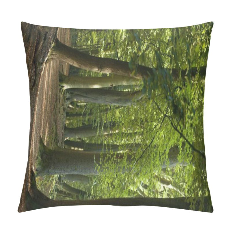 Personality  A Sunset In The Enchanted Forest Casts A Warm Golden Glow On Twisting Branches And Green Grass, Adding A Romantic And Peaceful Atmosphere. Perfect For Summer Forest Retreats And Cozy Woodland Cottages Pillow Covers