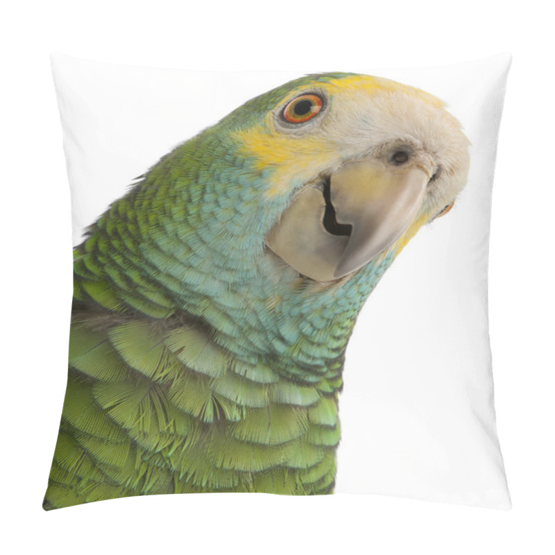 Personality  Close-up Of Yellow-shouldered Amazon, Amazona Barbadensis, In Front Of White Background Pillow Covers