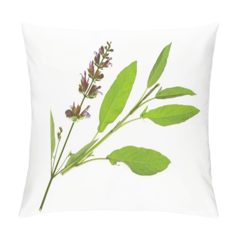 Personality  Sage Flower And Leaves Pillow Covers