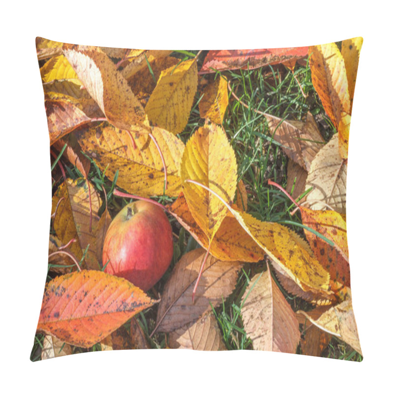 Personality  An Apple Falling On The Ground. Pillow Covers