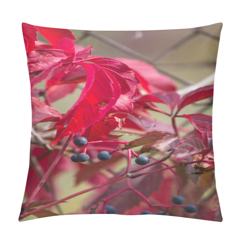 Personality  Autumn Time In The Garden Pillow Covers