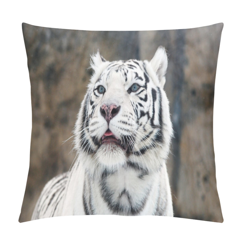 Personality  White Tiger Pillow Covers