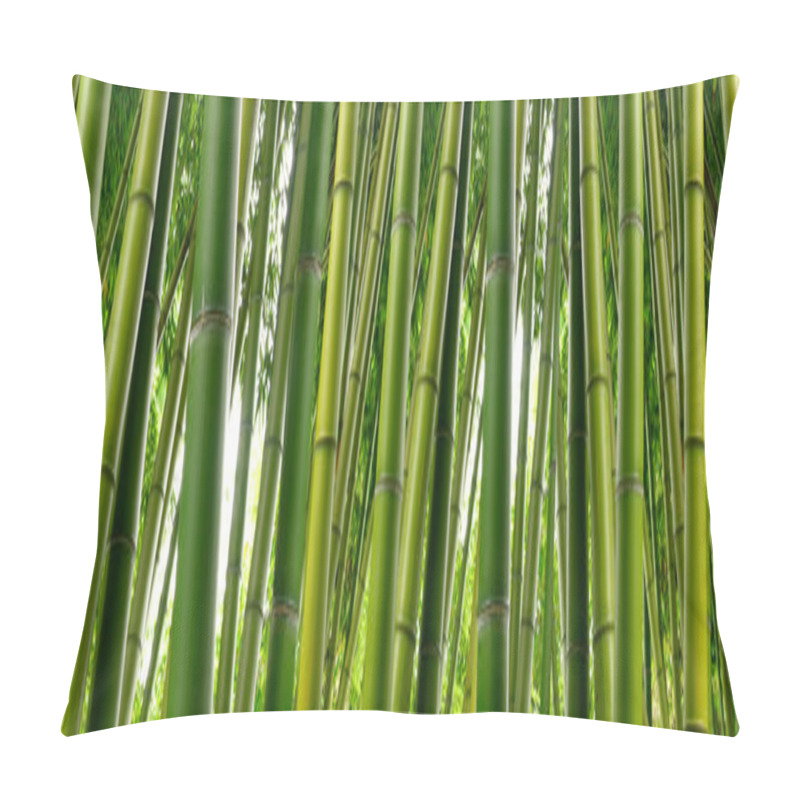 Personality  Tall Stalks Of Green Bamboo Pillow Covers