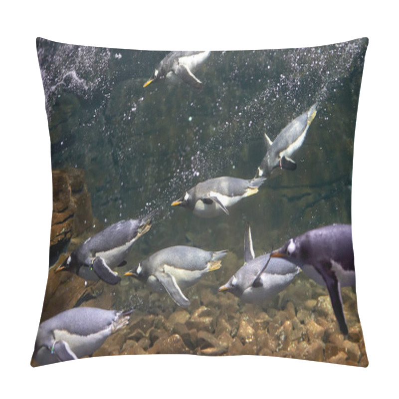 Personality  Group Of Penguins In Captivity, Diving In Their Fish Tank Pillow Covers