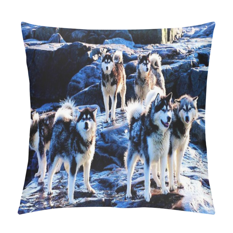 Personality  Different Animals, Selective Focus Pillow Covers