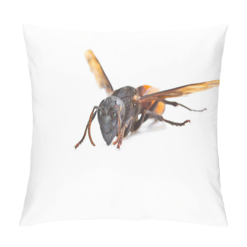 Personality  Wasp Pillow Covers