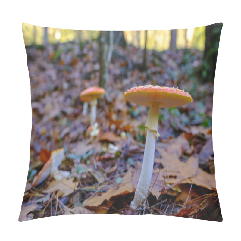 Personality  Close-up Of Two Amanita Muscaria Or Fly Agaric Mushrooms With Orange Caps And White Spots, Growing Among Fallen Leaves In An Oak Forest In Ucieda, Cabuerniga Valley, Cantabria, Spain. Pillow Covers