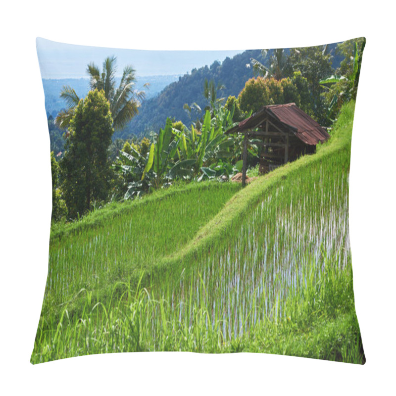 Personality  Scenic Farmland Green Rice Fields Of Rural, With Abandoned Old Hut. Rice Cultivation. Balinese Landscapes.  Rice Farming. Concept Of Travel Pillow Covers