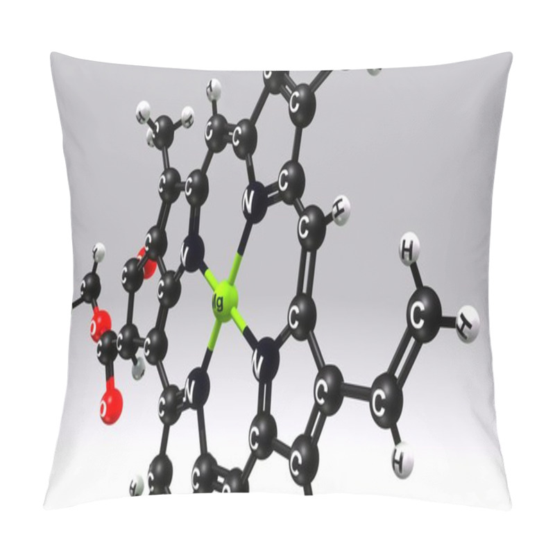 Personality  Chlorophyll A Molecular Structure Formula Pillow Covers