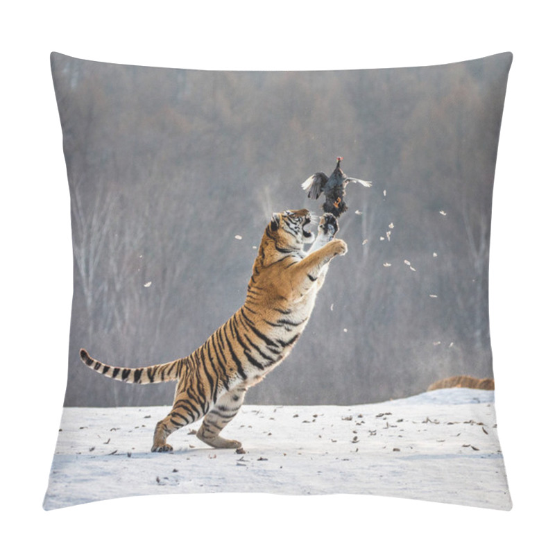 Personality  Siberian Tiger Jumping And Catching Prey Bird In Winter Forest, Siberian Tiger Park, Hengdaohezi Park, Mudanjiang Province, Harbin, China.  Pillow Covers