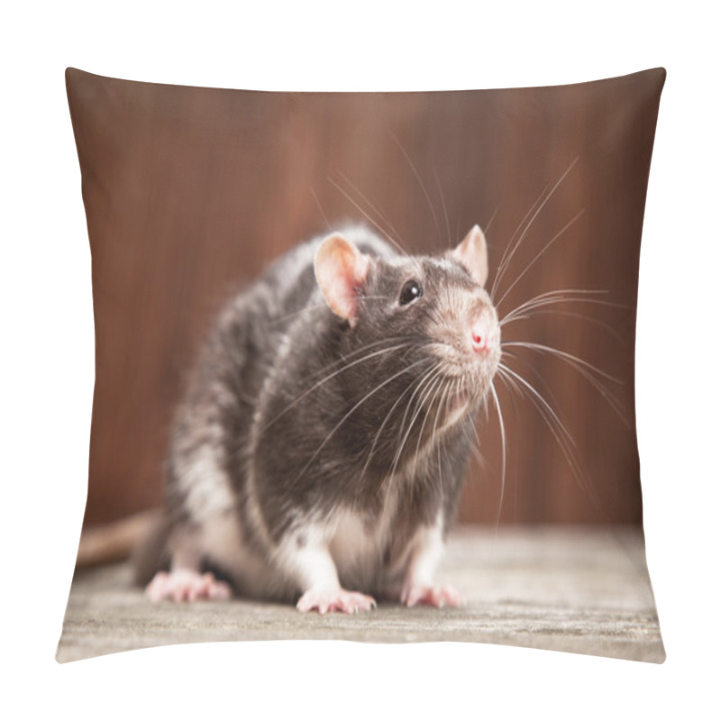 Personality  Pet Rat Pillow Covers