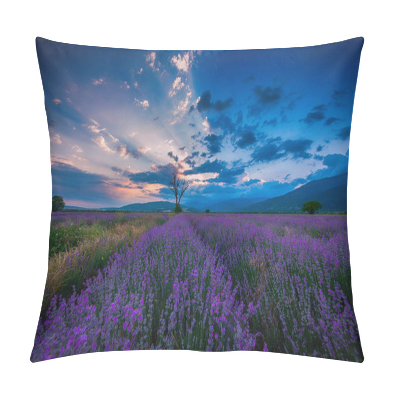 Personality  Lavender Flower Blooming Scented Fields And Lonely Tree In Endless Rows. Pillow Covers