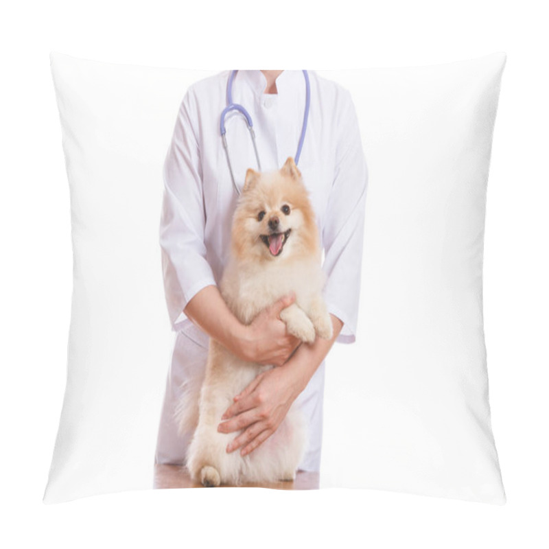 Personality  The Vet Examines The Dog Breed Spitz. Pillow Covers