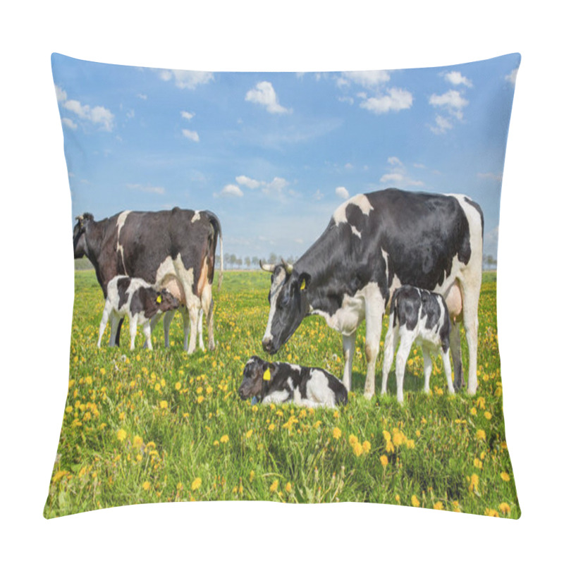 Personality  Mother Cows With Drinking Calves In Dutch Meadow Pillow Covers