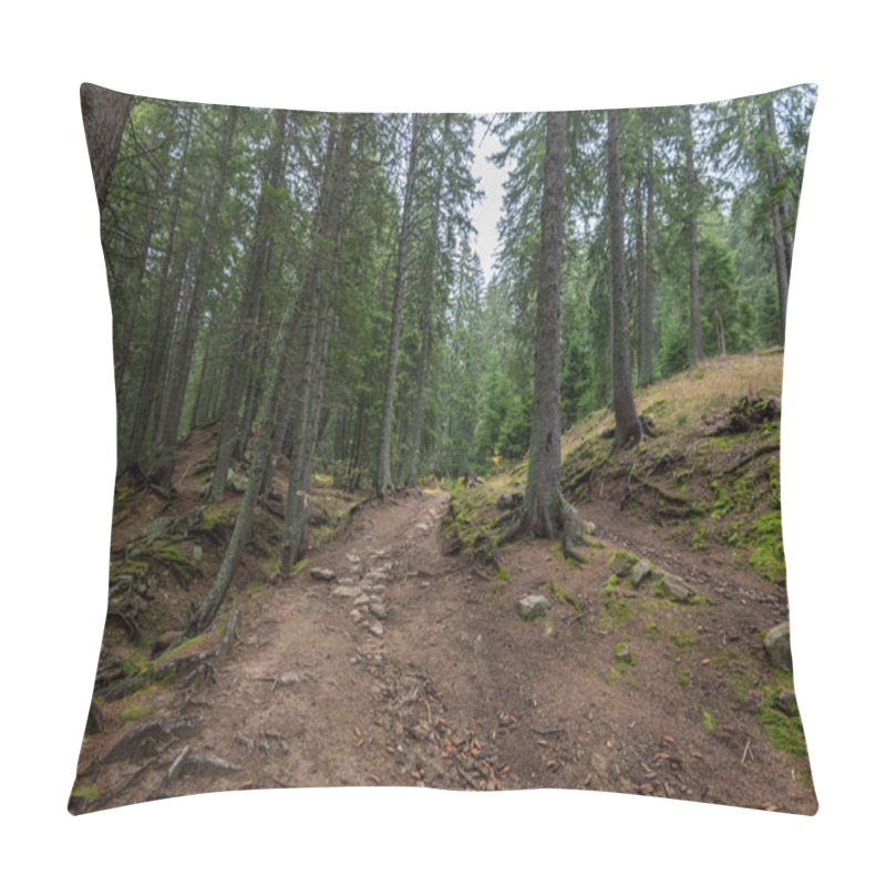 Personality  Mysterious Forest In Morning Fog, In Bulgaria National Park In Smolyan. Pillow Covers