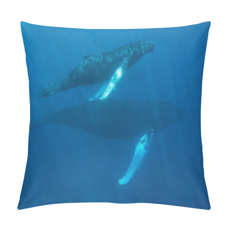 Personality  Mother And Calf Humpback Whales Pillow Covers