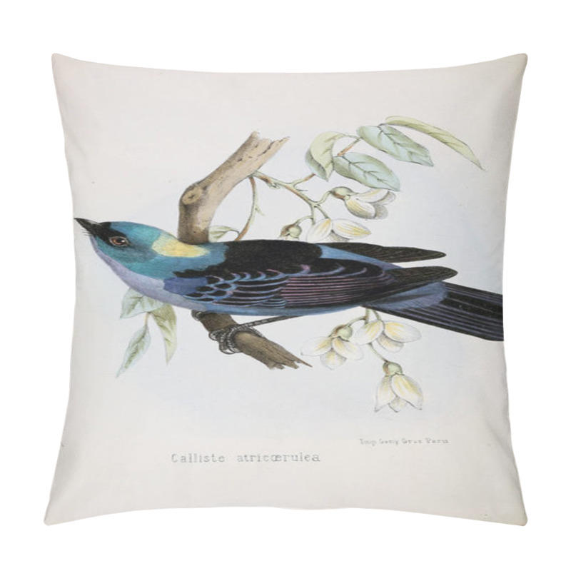 Personality  Illustration Of Bird. Old Image Pillow Covers