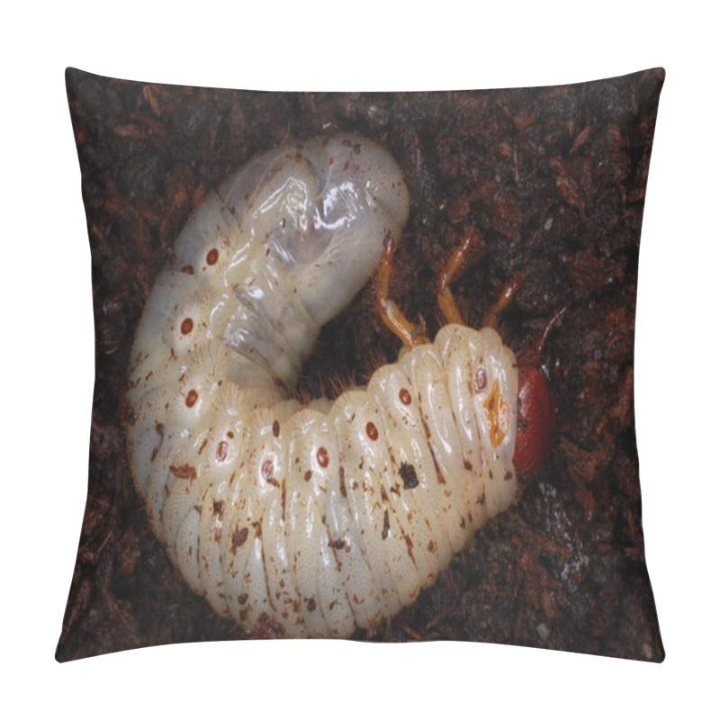 Personality  Larvae Pillow Covers