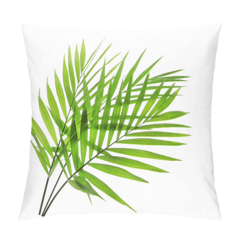 Personality  Green Leaves Of Palm Tree  Pillow Covers