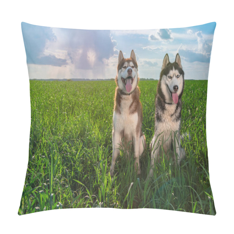 Personality  Two Husky Dogs With Happy Faces Sit On A Beautiful Summer Green Meadow Against The Sunny Sky With Clouds And Rain On The Horizon. Pillow Covers