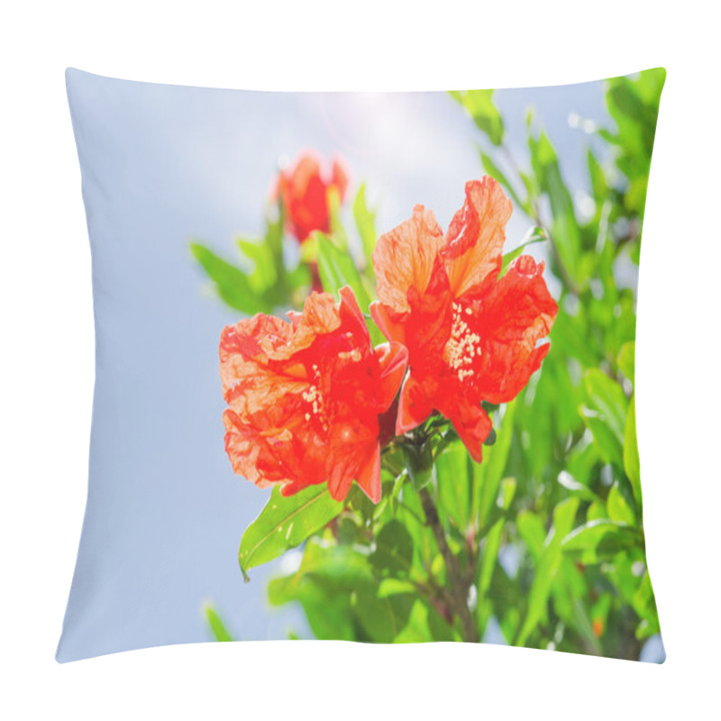 Personality  Pomegranate Spring Blooming Branch With Backlit Red Flowers Pillow Covers