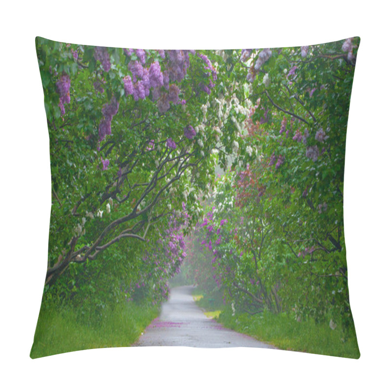 Personality  Beautiful Alley With Lilac Flowers Spring Blossom In Kyiv Botanical Garden Park Pillow Covers