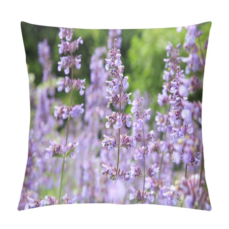 Personality  Catnip Flowers (Nepeta ) Pillow Covers