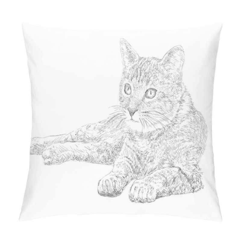 Personality  Cat Drawin Pillow Covers