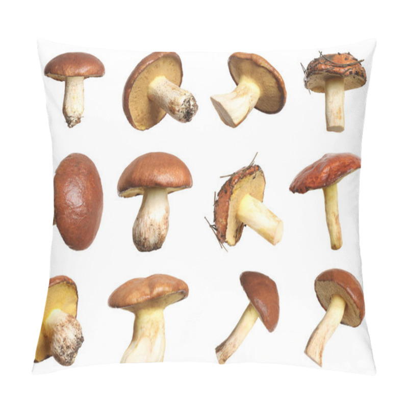 Personality  Set Of Fresh Slippery Jack Mushrooms On White Background Pillow Covers