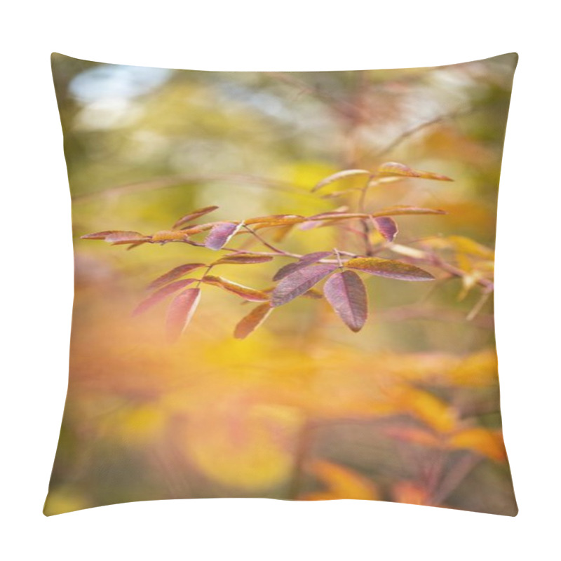 Personality  Close-up Of Vibrant Autumn Leaves Showcasing Hues Of Orange And Purple. Pillow Covers