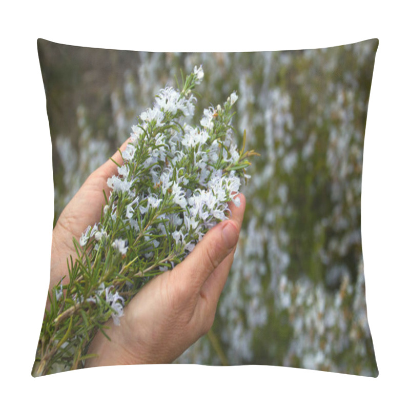 Personality  Sprig Of Fresh Rosemary Pillow Covers