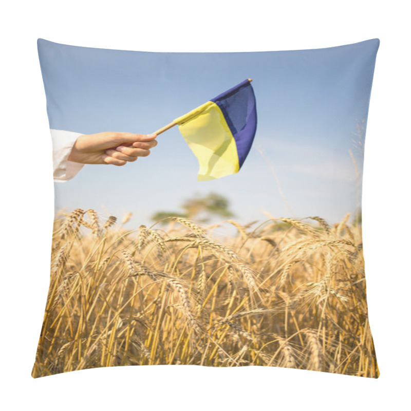 Personality  Ukraine Pillow Covers