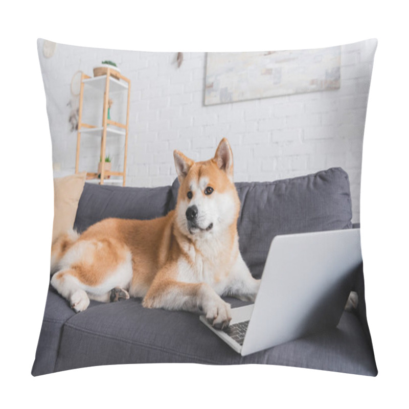 Personality  Akita Inu Dog Sitting On Couch Near Laptop In Modern Living Room Pillow Covers