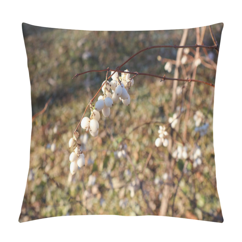 Personality  Branch Of Snowberries In Autumn Sunlight. Close-up Of A Snowberry Bush With White Berries On Thin Red Branches, Set Against A Softly Blurred Autumnal Background In Warm Golden Tones. Pillow Covers