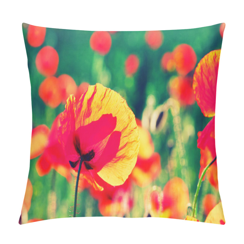 Personality  Red Poppy Flowers Pillow Covers